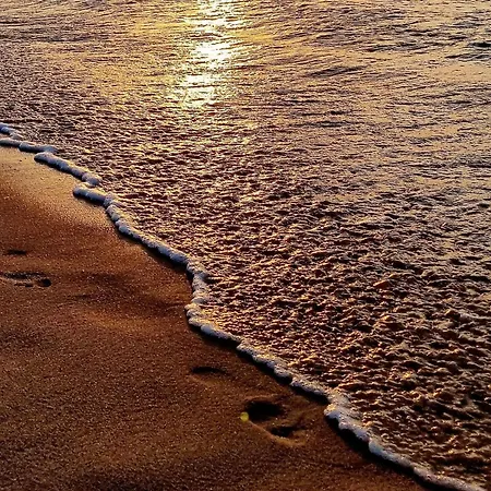 Apartamento 365pam - Dobra Aura W Summer Lofts *